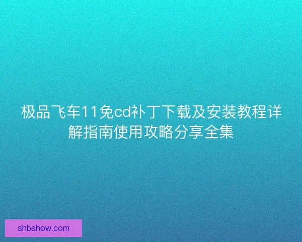 极品飞车11免cd补丁下载及安装教程详解指南使用攻略分享全集